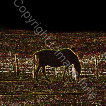 Arts numériques intitulée "black stallion" par L Image Inné S.E.N.C., Œuvre d'art originale