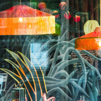 摄影 标题为“Window Garden” 由Linda Chapman, 原创艺术品, 数码摄影