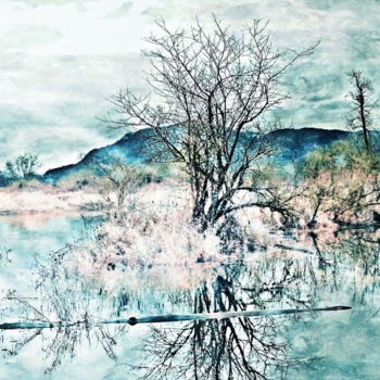 Φωτογραφία με τίτλο "Winter at Duck Pond" από Linda Hegland, Αυθεντικά έργα τέχνης