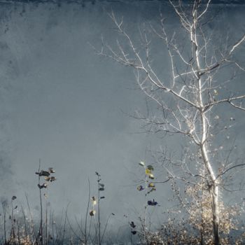 Fotografía titulada "Silver Tree" por Linda Hegland, Obra de arte original