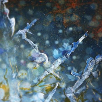 Fotografía titulada "Ice Fingers" por Linda Hegland, Obra de arte original