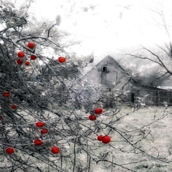 Fotografía titulada "Petes's Barn & Appl…" por Linda Hegland, Obra de arte original