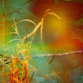 Photography titled "Dead Reeds of Fall" by Linda Hegland, Original Artwork