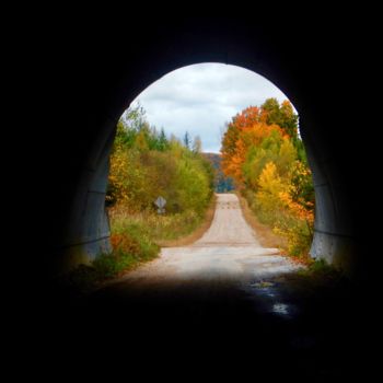 Fotografía titulada "Tunnel Vision" por Linda Hegland, Obra de arte original