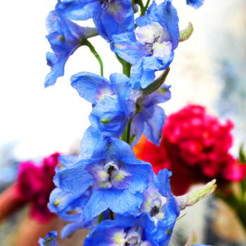 Photography titled "Delphinium and Coxc…" by Lindy Powers, Original Artwork, Digital Photography
