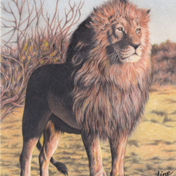 "le Lion Cécile" başlıklı Resim Line-Rose tarafından, Orijinal sanat, Mum boya