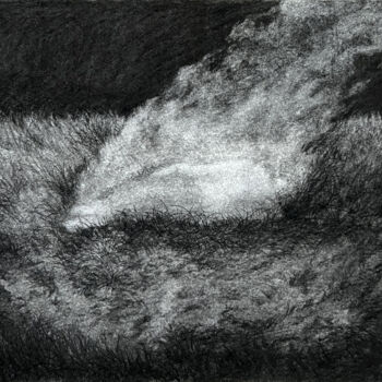 绘画 标题为“Combustion” 由Linge Meng, 原创艺术品, 木炭