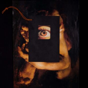 Collages intitolato "Autoportrait VI" da Lioncaresse, Opera d'arte originale