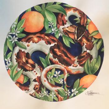 Painting titled "Orange" by Lisa Ingrassia, Original Artwork, Watercolor