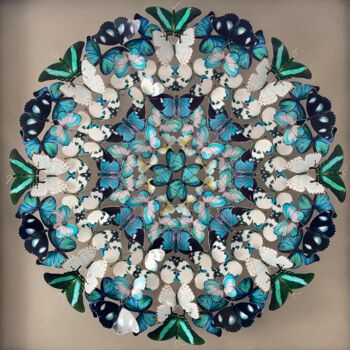 Collages intitolato "Mandala Peacock" da Lison Gangloff, Opera d'arte originale, Carta