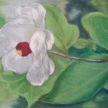 图画 标题为“Magnolia, Mustila” 由Liudmila Rabinovich, 原创艺术品, 粉彩