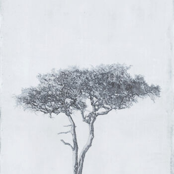 Картина под названием "Consciencia Invisib…" - Liz Bono, Подлинное произведение искусства, Акрил Установлен на Деревянная ра…