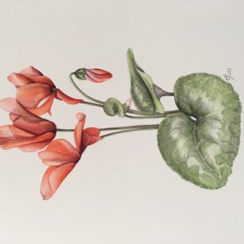 Painting titled "Cyclamen" by Liz Hansen, Original Artwork, Watercolor