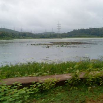 Fotografia intitulada "serene water" por Lokeswara Rao, Obras de arte originais