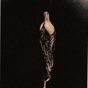 Fotografía titulada "Cucarda lith" por Ricardo Lopez Risso, Obra de arte original, Fotografía manipulada