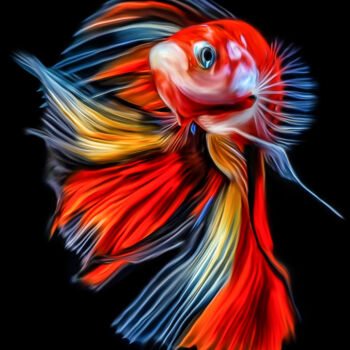 Digitale Kunst mit dem Titel "Colourful Fish" von Lord Amihere, Original-Kunstwerk, Digitale Malerei