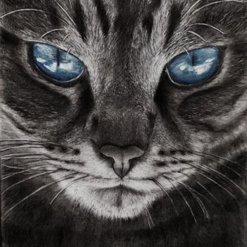 Disegno intitolato "Blue eye cat" da Loredana Leu, Opera d'arte originale, Carbone