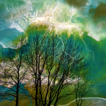 Fotografía titulada "Des arbres et des c…" por Lorenam, Obra de arte original, Fotografía digital