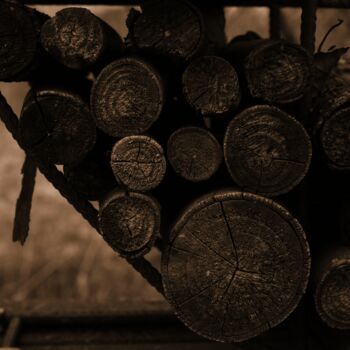 Fotografia intitolato "tronchi in legno" da Lorenzo Corti, Opera d'arte originale, Fotografia digitale