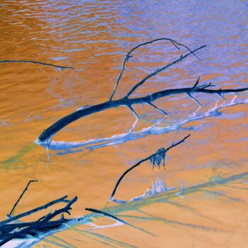 Fotografía titulada "rami nell'acqua" por Lorenzo Corti, Obra de arte original, Fotografía digital