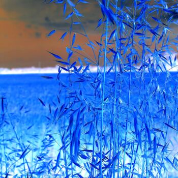 Фотография под названием "grano in negativo" - Lorenzo Corti, Подлинное произведение искусства, Цифровая фотография
