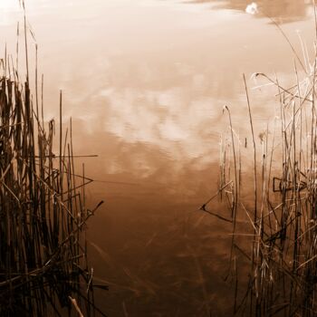 Fotografia intitulada "riva del lago" por Lorenzo Corti, Obras de arte originais, Fotografia digital