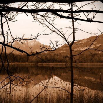 Fotografie getiteld "lago con gli alberi" door Lorenzo Corti, Origineel Kunstwerk, Digitale fotografie
