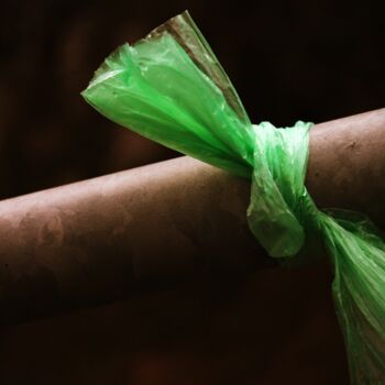 Fotografía titulada "fiocco verde" por Lorenzo Corti, Obra de arte original, Fotografía digital