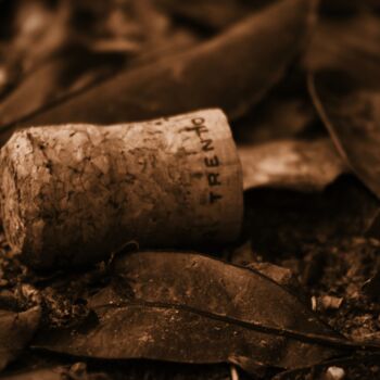 Fotografie getiteld "tappo da vino" door Lorenzo Corti, Origineel Kunstwerk, Digitale fotografie
