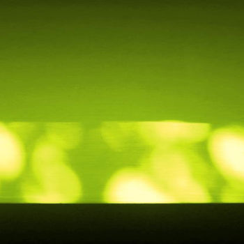 Fotografie getiteld "Green Shadows" door Lorenzo Sartori (ElleEsseStudio), Origineel Kunstwerk
