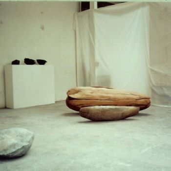 Sculpture intitulée "interieur" par Laure Neumann, Œuvre d'art originale