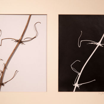Collagen mit dem Titel "Yin Yang 58" von Robert Marcel Becker, Original-Kunstwerk, Analog Fotografie Auf Karton montiert