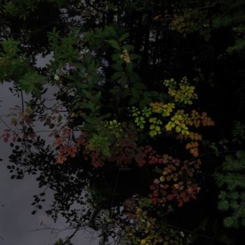 Photography titled "River Bouquet" by Glenn Michael Morley, Original Artwork