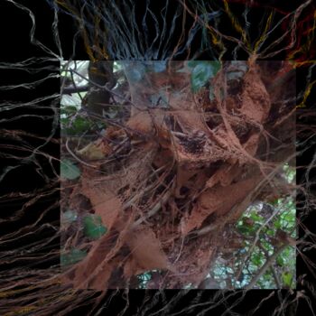 Digitale Kunst mit dem Titel "Ça déborde du cadre…" von Lotus20artabstrait, Original-Kunstwerk, Digitale Malerei