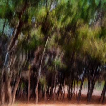 Photographie intitulée "many-trees-3.jpg" par Louis Agius, Œuvre d'art originale
