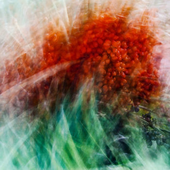 "palm-berries.jpg" başlıklı Fotoğraf Louis Agius tarafından, Orijinal sanat