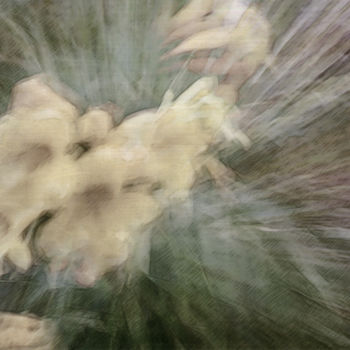 Photography titled "flower-impression.j…" by Louis Agius, Original Artwork