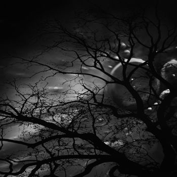 "tree-of-life.jpg" başlıklı Fotoğraf Louis Agius tarafından, Orijinal sanat