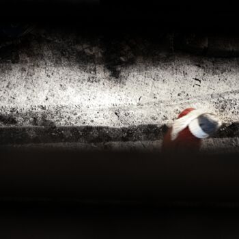 Fotografia intitolato "Christmas walk" da Louis Théron, Opera d'arte originale, Fotografia digitale