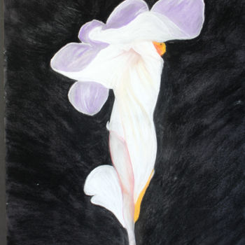 Pintura intitulada "la-danse-du-parfum.…" por Louise Bressange, Obras de arte originais, Pastel