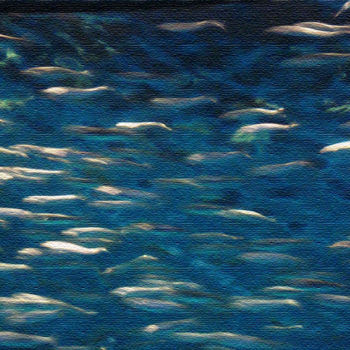 Painting titled "fishSpace" by Louis Pirro, Original Artwork