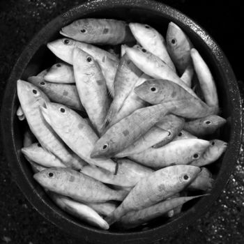 Photography titled "Like Shootin' Fish…" by Lou Zucchi, Original Artwork