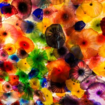 Fotografia intitolato "Colored Jellyfish" da Lou Zucchi, Opera d'arte originale