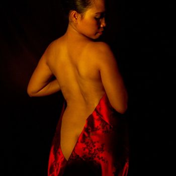 Photography titled "Red Brocade" by Lou Zucchi, Original Artwork