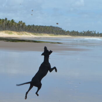 Fotografía titulada "Crazy Dog" por Luiz Pantaleão (Panta), Obra de arte original, Fotografía digital