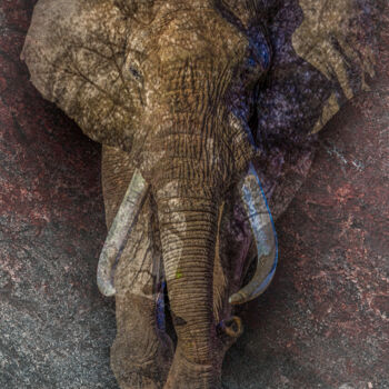 Arts numériques intitulée "Éléphant d'Afrique" par Lecointre Patrick Artiste - Photographe, Œuvre d'art originale, Peinture…