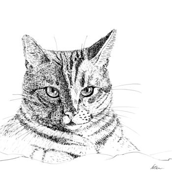 Painting titled "A cat with intellig…" by Liubov Samoilova, Original Artwork, Ink