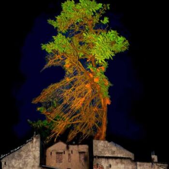 Photographie intitulée "le tree" par Lucian Olteanu, Œuvre d'art originale