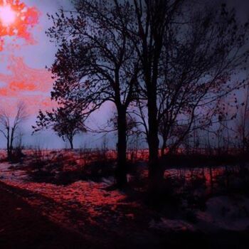 Photographie intitulée "night vision" par Lucian Olteanu, Œuvre d'art originale