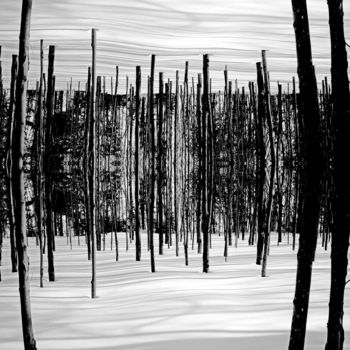 Photographie intitulée "Forêt enchantée" par Lucien Duhamel, Œuvre d'art originale, Photographie numérique